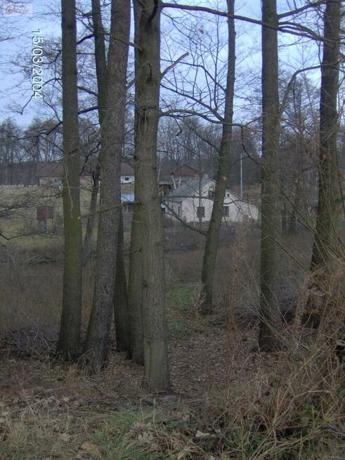 Działka Zalesie gm. Żabia Wola