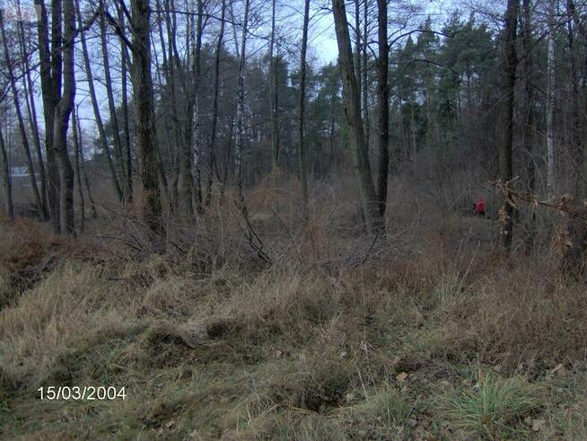 Działka Zalesie gm. Żabia Wola