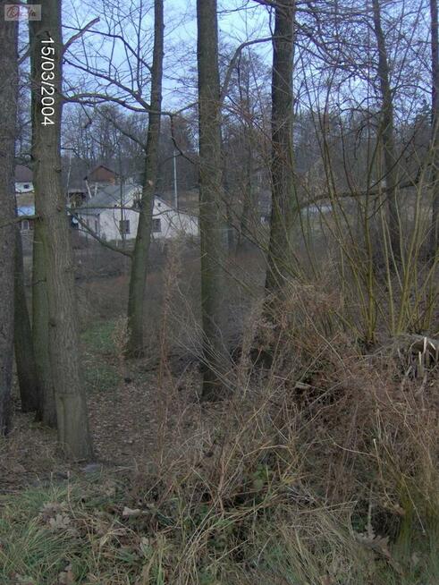 Działka Zalesie gm. Żabia Wola