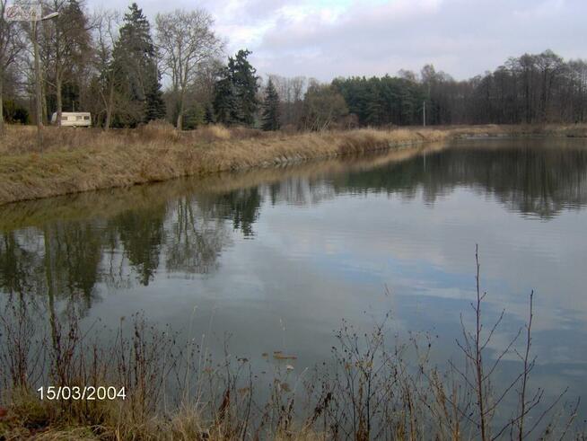 Działka Zalesie gm. Żabia Wola