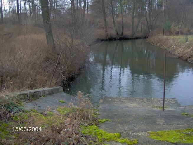 Działka Zalesie gm. Żabia Wola
