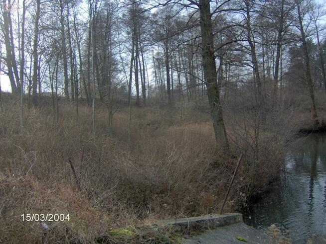 Działka Zalesie gm. Żabia Wola