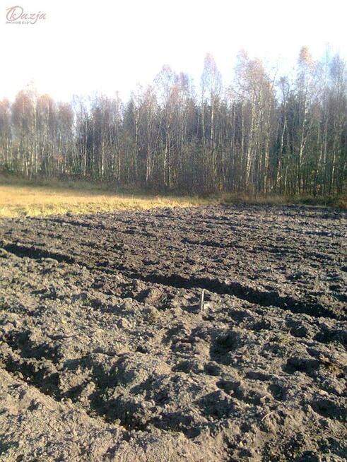 Działka Jesionka gm. Wiskitki