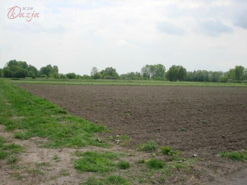 Działka Holendry Baranowskie gm. Baranów