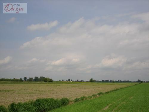 Działka Holendry Baranowskie gm. Baranów