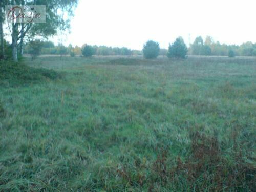 Działka Budy Michałowskie gm. Jaktorów