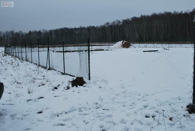 Działka Opypy gm. Grodzisk Mazowiecki