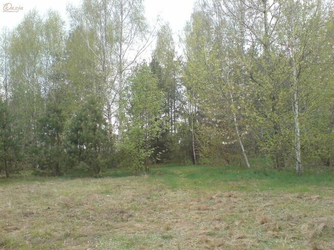 Działka Zaręby gm. Żabia Wola