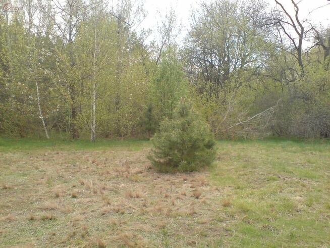 Działka Zaręby gm. Żabia Wola