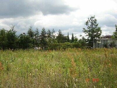 Działka Urzut gm. Nadarzyn