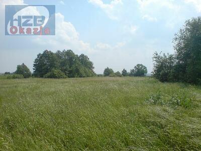 Działka Chlebnia gm. Grodzisk Mazowiecki