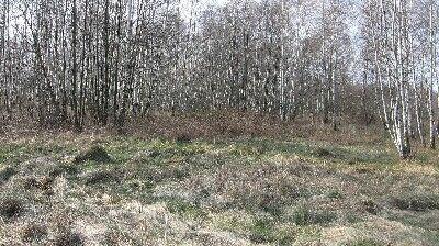 Działka Stare Budy gm. Jaktorów