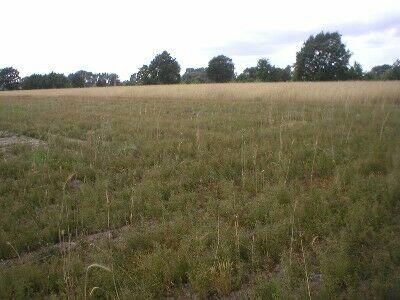 Działka Chrzanów Mały gm. Grodzisk Mazowiecki