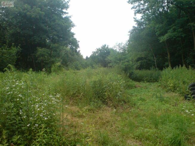 Działka Grodzisk Mazowiecki