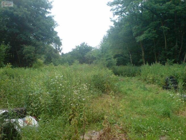 Działka Grodzisk Mazowiecki