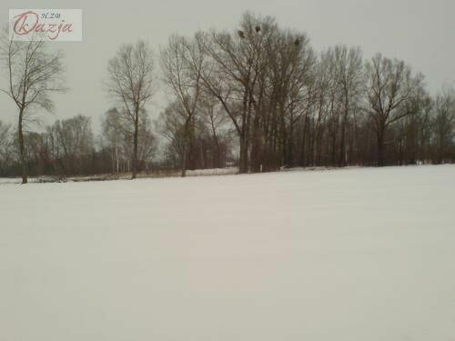 Działka Budy Zosine gm. Jaktorów