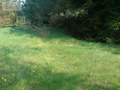 Działka Osowiec gm. Żabia Wola