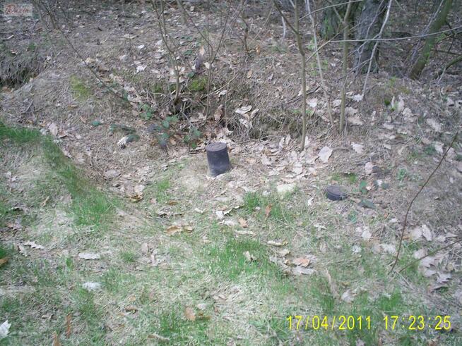 Działka Ojrzanów gm. Żabia Wola