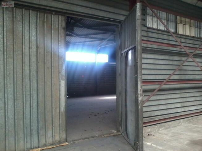 Lokal użytkowy Pruszków