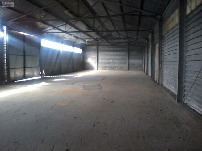 Lokal użytkowy Pruszków