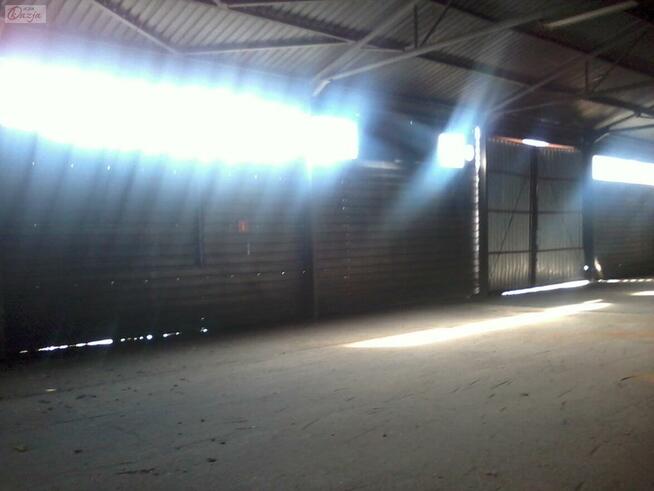 Lokal użytkowy Pruszków