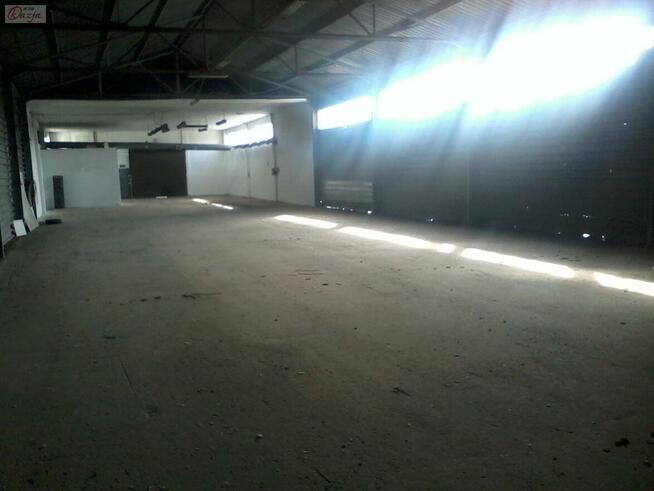 Lokal użytkowy Pruszków