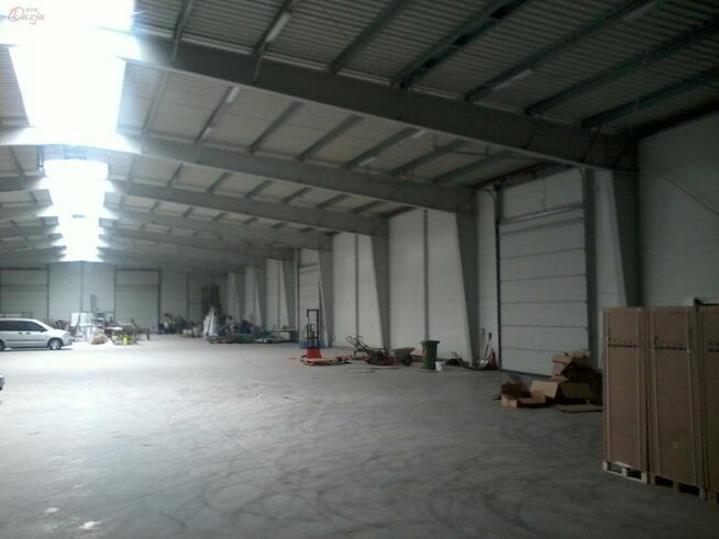 Lokal użytkowy Pruszków