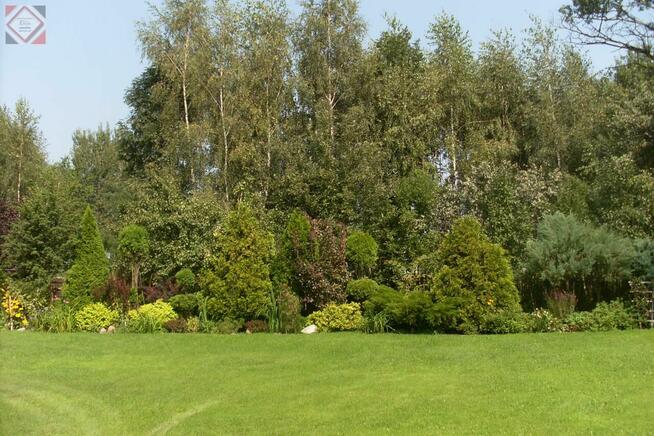 Działka gospodarstwo Gole gm. Baranów