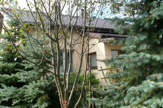 Działka gospodarstwo Gole gm. Baranów