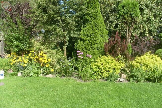 Działka gospodarstwo Gole gm. Baranów