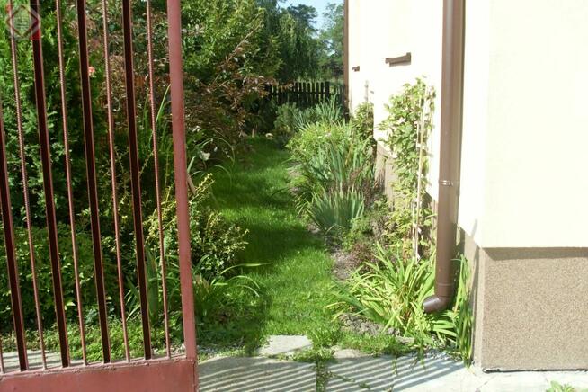 Działka gospodarstwo Gole gm. Baranów