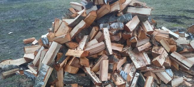 Drewno opałowe kominkowe grube cięte rąbane różne gatunki
