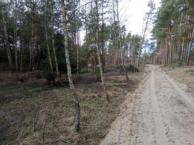 Sprzedam działkę rolno-leśną w Bizorędzie