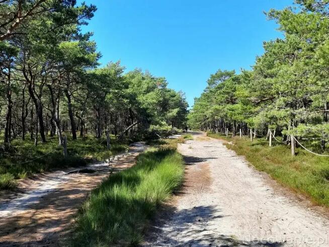 WOLINIA-GŁóWCZYCE-6700m2 WZ nr-186- 187-PRĄD-WODA-KANAL-ŁEBA