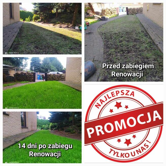 Wertykulacja , koszenie trawy.sadzenie tuji.drzewek.krzewów