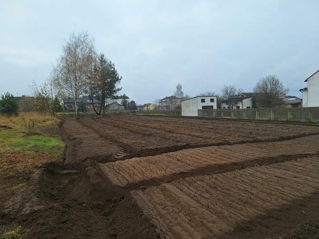 Wycinka drzew Czyszczenie terenu Mulczowanie Karczowanie