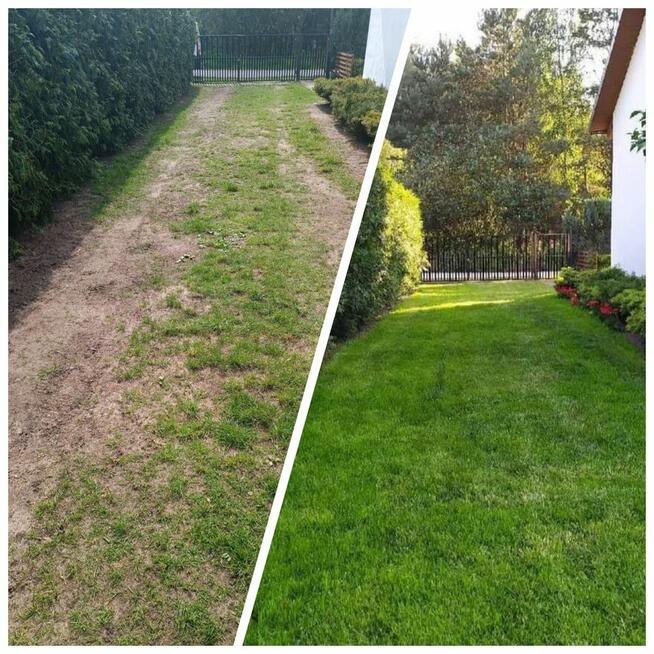 Wertykulacja , koszenie trawy.sadzenie tuji.drzewek.krzewów