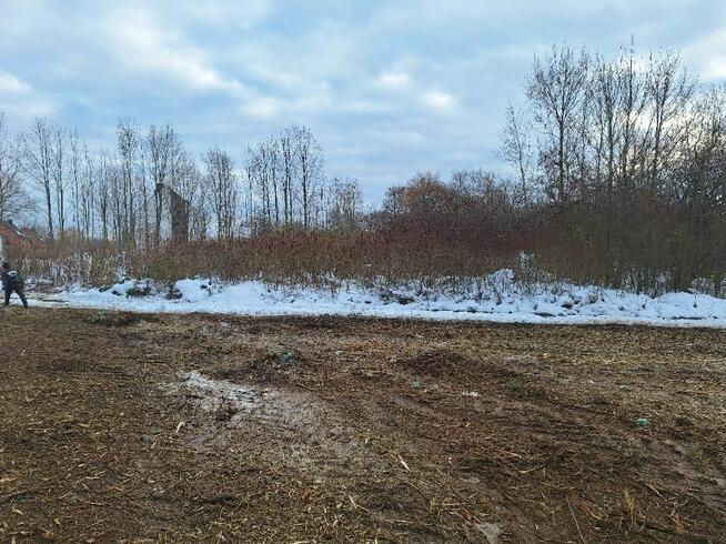 Wycinka drzew Czyszczenie terenu Mulczowanie Karczowanie