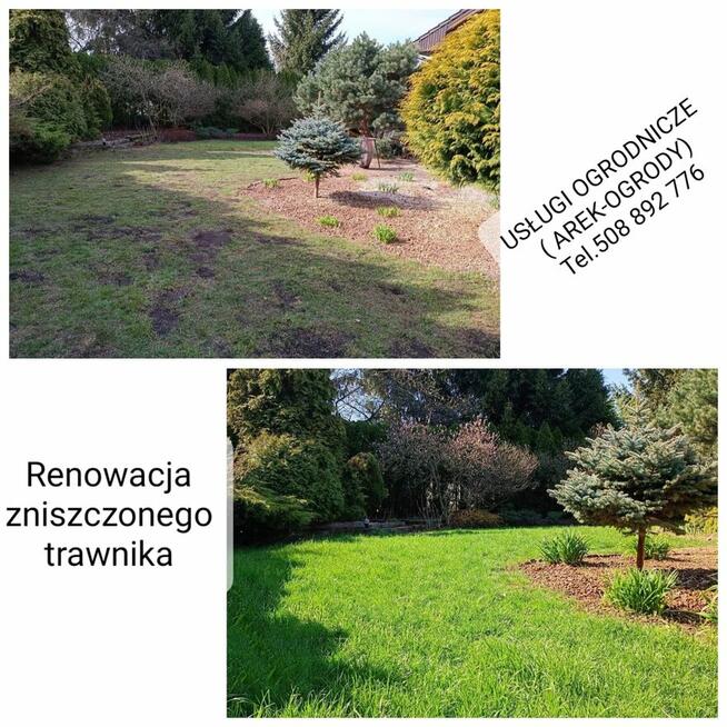 Wertykulacja , koszenie trawy.sadzenie tuji.drzewek.krzewów