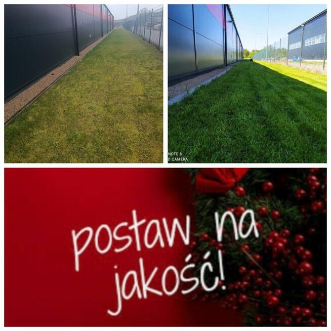 Wertykulacja , koszenie trawy.sadzenie tuji.drzewek.krzewów