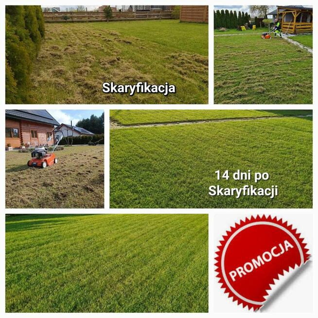 Wertykulacja , koszenie trawy.sadzenie tuji.drzewek.krzewów