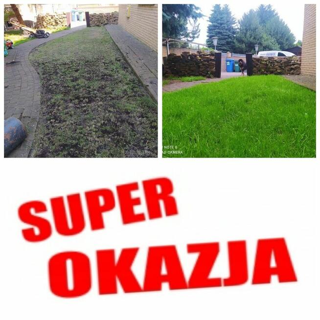 Wertykulacja , koszenie trawy.sadzenie tuji.drzewek.krzewów