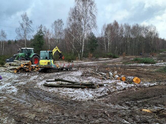 Wycinka drzew Czyszczenie terenu Mulczowanie Karczowanie