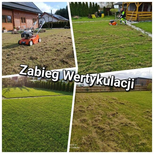 Wertykulacja , koszenie trawy.sadzenie tuji.drzewek.krzewów