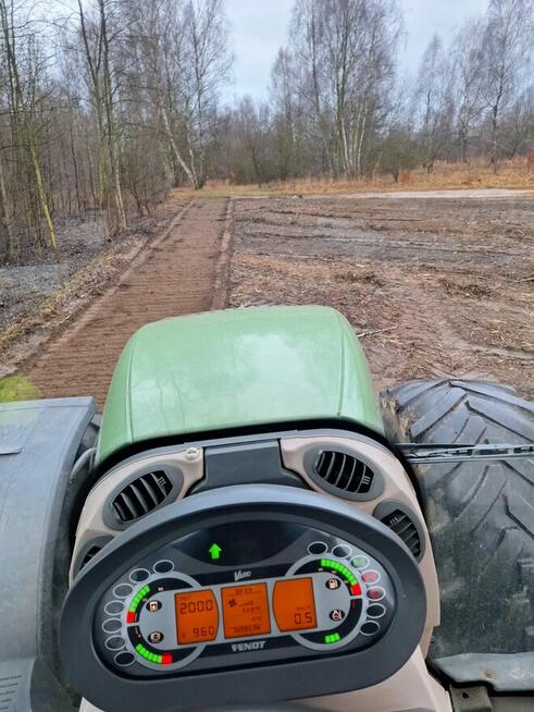 Wycinka drzew Czyszczenie terenu Mulczowanie Karczowanie