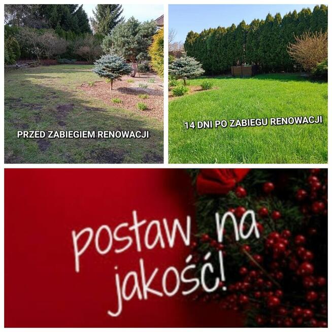 Wertykulacja , koszenie trawy.sadzenie tuji.drzewek.krzewów