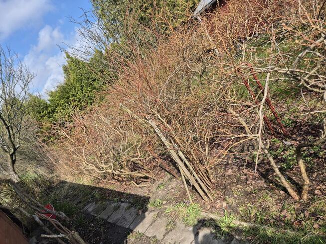 Domek na działce ROD Malcanów