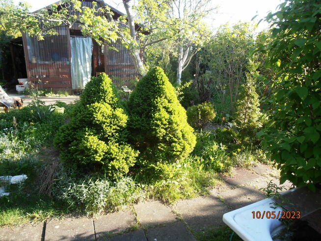 Sprzedam działkę rekreacyjną - ogrodzona na Retkini