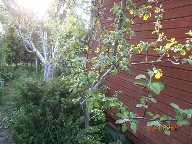 Sprzedam działkę rekreacyjną - ogrodzona na Retkini