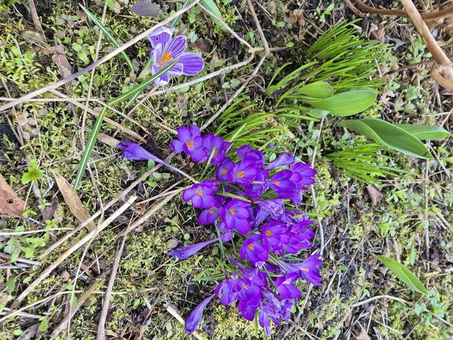 Domek na działce ROD Malcanów